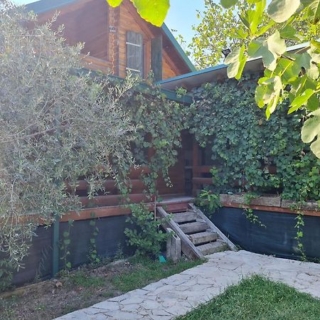 Holiday Home Kite House Ulcinj Exteriör bild